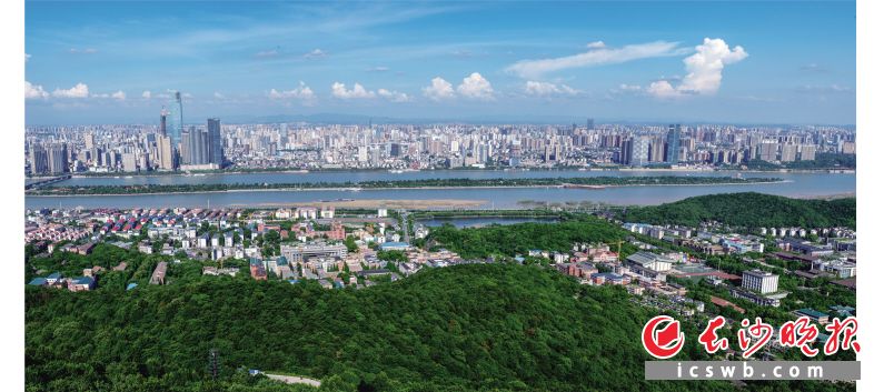 岳麓山国家大学科技城正在朝着最美大学城蝶变。 长沙晚报记者 邹麟 摄