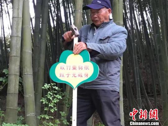 走进浙江省首个“无蚊村”试点村：全民剿蚊享清净一夏