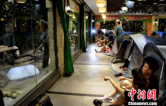 广州长隆推出“夜宿熊猫馆”项目（图）