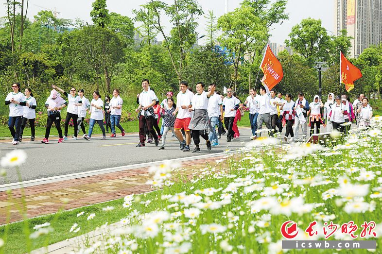 近年，长沙加强慢病防控工作，通过丰富多彩的活动引导市民养成健康的生活方式。图为市民在美丽的松雅湖畔参加“万步有约”健走活动。 长沙晚报通讯员 曾诗怡 摄