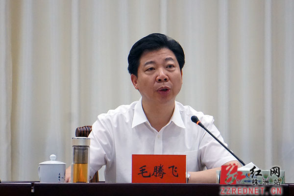 湖南巡视巡察工作电视电话会议召开 毛腾飞在