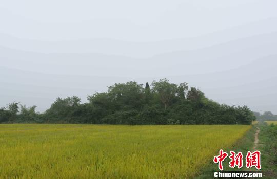 湖南南县考古发现九座古炮台呈圆形环绕疑似古城遗址