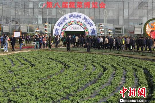 第八届中国·四川（彭州）蔬菜博览会举行