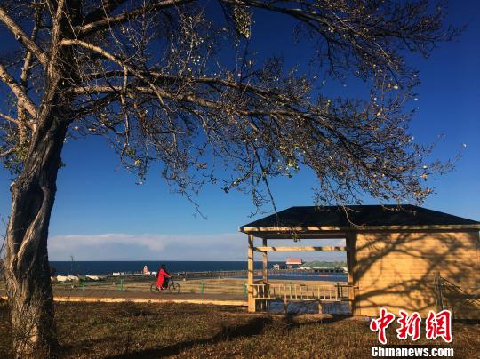 青海湖景区游客数同比增长逾七成