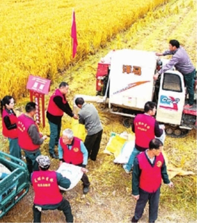 【领航新征程】青年兴则国家兴 青年强则国家强