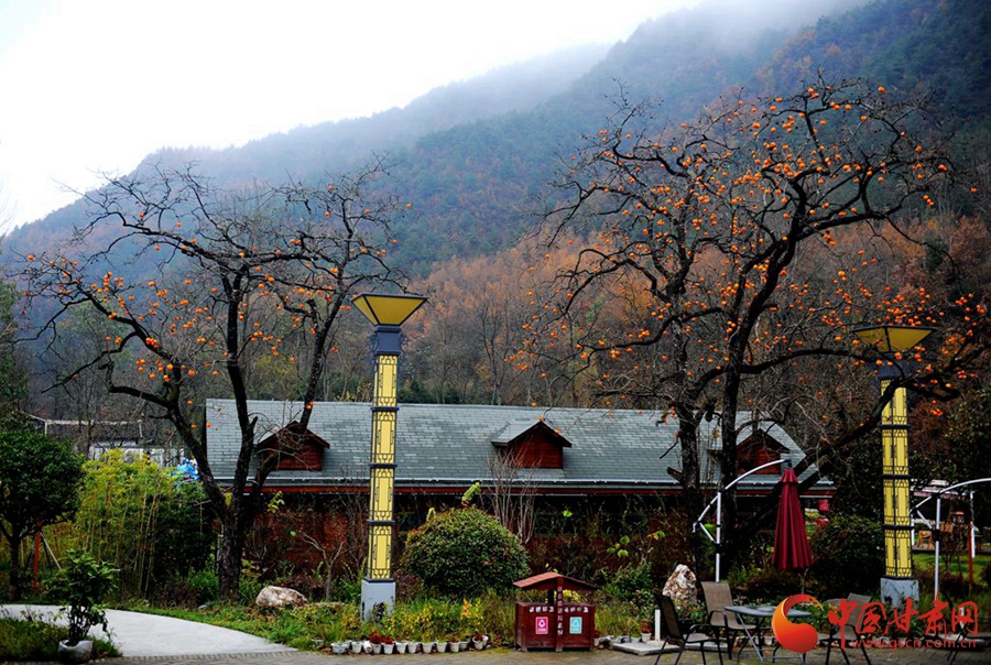 【领航新征程】山水清韵花桥村 乡村旅游富民