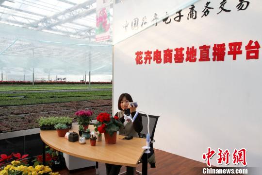 青州见闻：成为国家级花卉电商平台得益于“八项规定”
