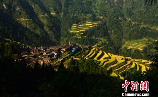 中外专家热议“活态”传承中国古村落