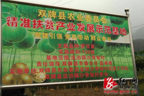 双牌县产业扶贫结硕果