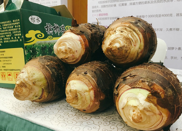 东安鸡、祁阳槟榔芋成为国家地理标志产品
