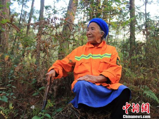 与树为伴四十载88岁高龄女护林员仍坚持巡山