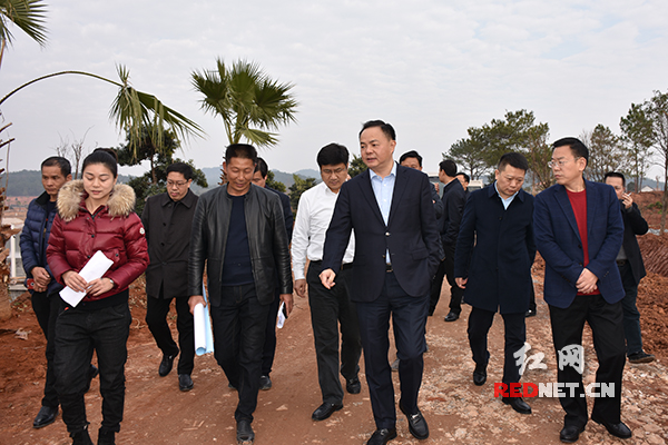 郑建新调研衡南县:优化产业结构着力推进产城