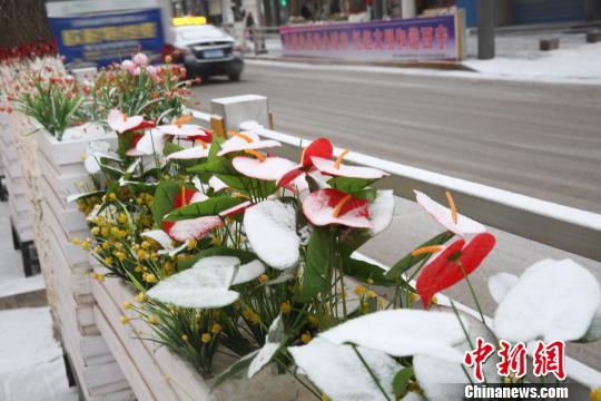 青海省出现大范围降雪多地发布道路结冰黄色预警