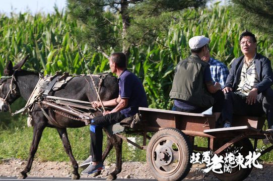 《旺角老炮闯东北》剧照3.jpg
