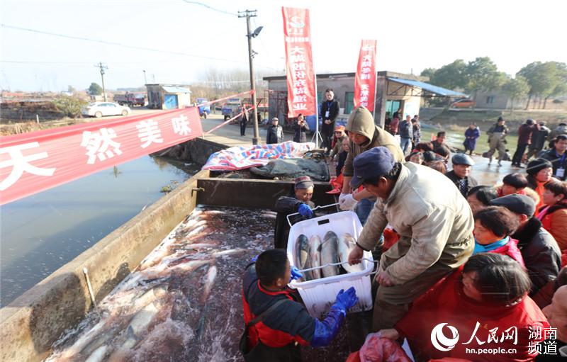 一群群人慕名远道而来，参与冬捕，现场购买年活鱼。