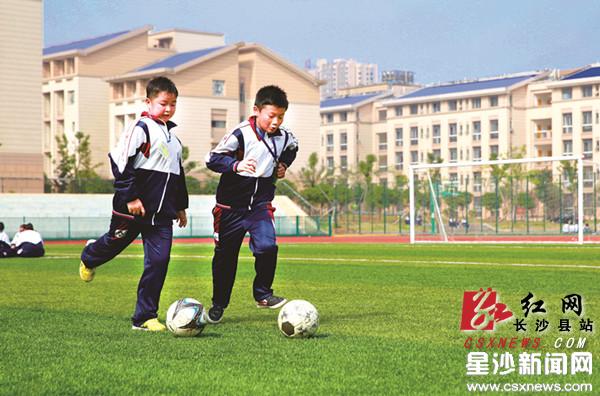长沙县:节假日8所学校体育场馆免费开放