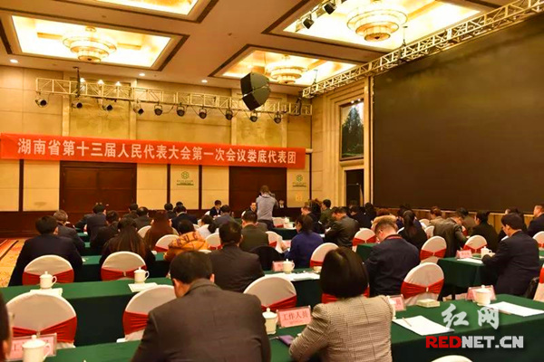 湖南省十三届人大一次会议娄底代表团召开第一