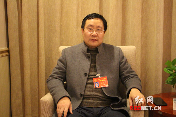 省人大代表、政协委员热议扫黑除恶