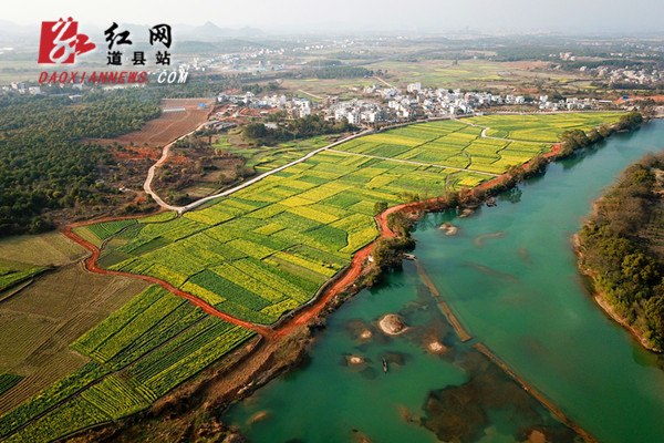 道县两河口千亩油菜花盛开（组图）