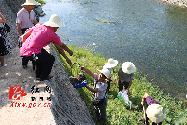 新田2017年推行河长制工作纪实