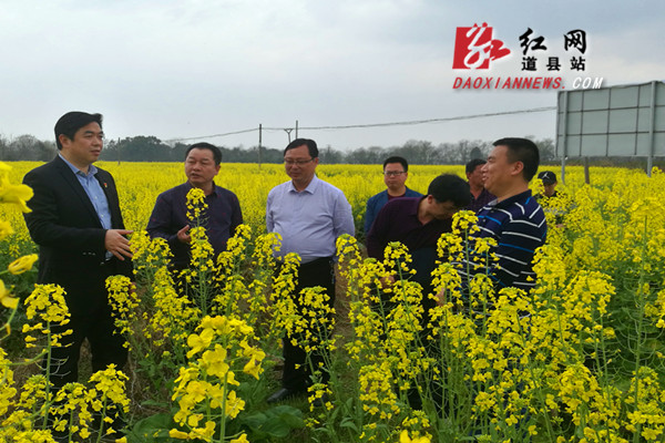 李天明深入道县蚣坝镇开展乡村振兴调研活动