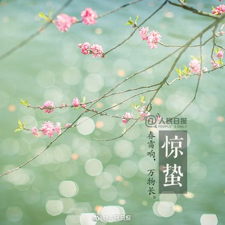 节气惊蛰:春雷响,万物长