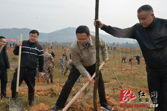  东安2000干部群众开展义务植树 厚植生态文明优势