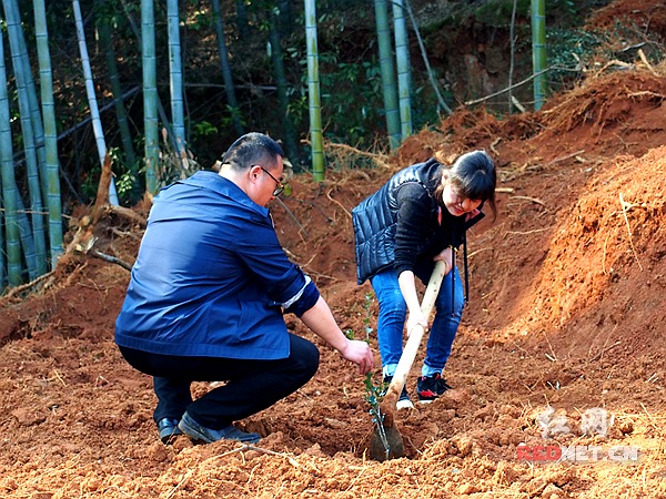 莲城大地植树忙 晒一晒我们和小小绿巨人