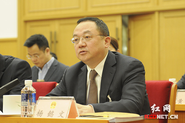 湖南代表团审议国务院机构改革方案:发展所需