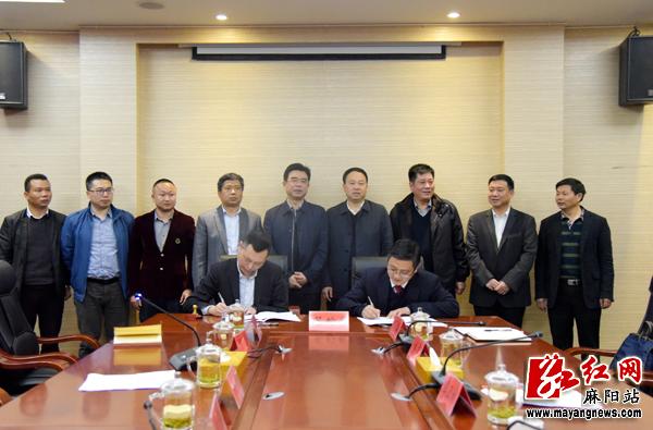 麻阳县与湖南新五丰公司开展现代畜牧业合作