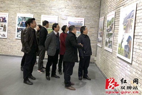 省文化厅调研组考察双牌县龙洞文化艺术产业园项目
