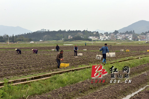 蓝山县雷家岭村人口_无标题(2)