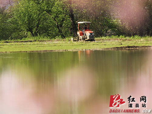 道县：气温回暖 山乡春耕忙（组图）
