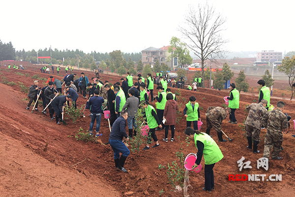 衡阳市委书记率队植树 号召市民共建生态美丽