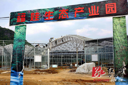湖南最大的娃娃鱼养殖基地在宁远落成