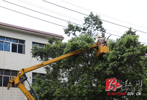 宁远县电力公司：为景观树木“理发”保线路安全