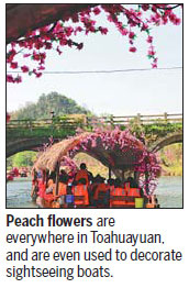 Travels to magical land of the peach blossom