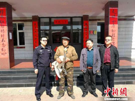 国家二级保护动物白天鹅因病被困山西警民接力救助