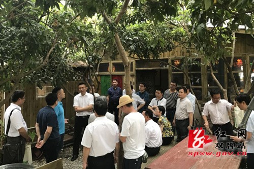 肖质彬率团赴大鹏新区开展农旅招商