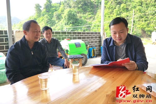 苏小康到茶林镇桐子坳村调研精准扶贫和乡村振兴工作
