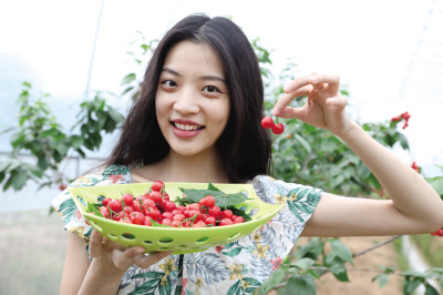 Changsha county offers visitors great fun in fruit picking