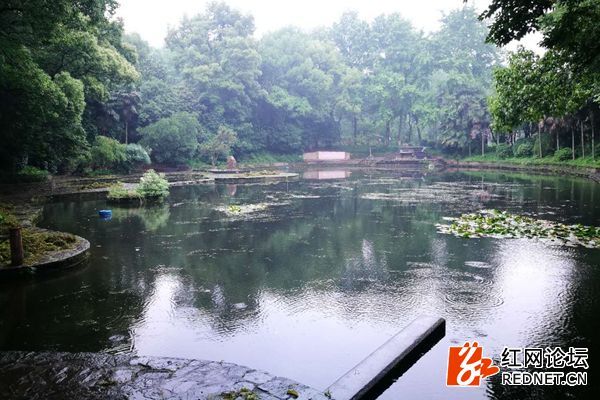 网友吐槽湖南烈士公园两池塘风光不再 公园: