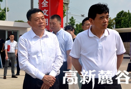 张宏益在长沙高新区调研联点重大项目建设工作