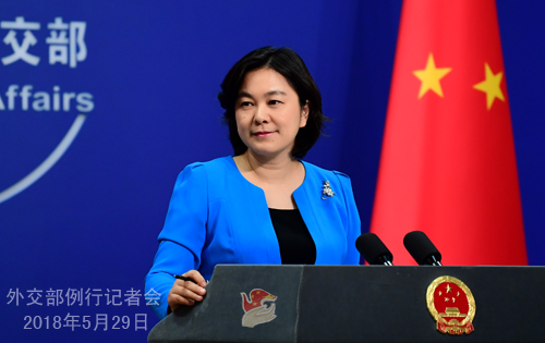 图片来源：外交部网站