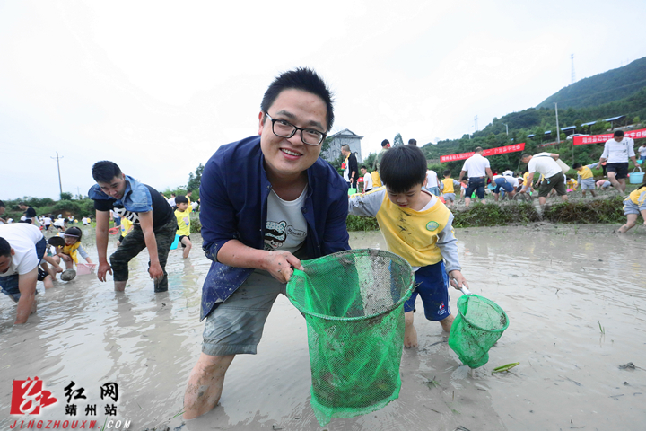 靖州280户亲子家庭在泥塘中捉泥鳅、抓鲫鱼