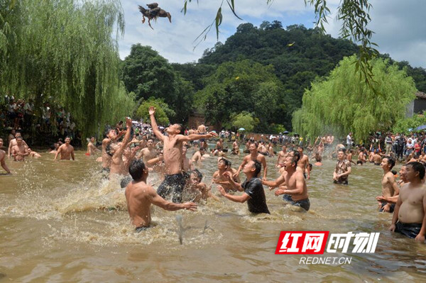 江永瑶民泥塘狂欢庆佳节（组图）