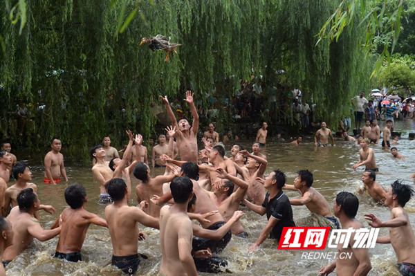 江永瑶民泥塘狂欢庆佳节（组图）