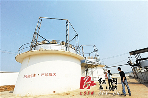 蓝山县沼气发电项目成功运行 年发电20余万度