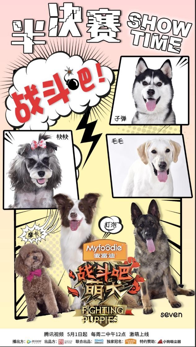 真人秀《战斗吧萌犬》萌宠海报.jpg