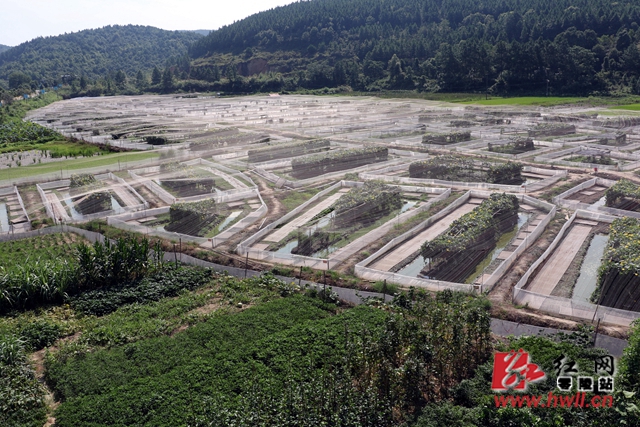 零陵：生态种养助民富